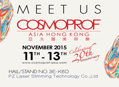 pz laser exhibition